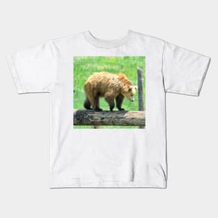 Young Grizzly Bear Kids T-Shirt